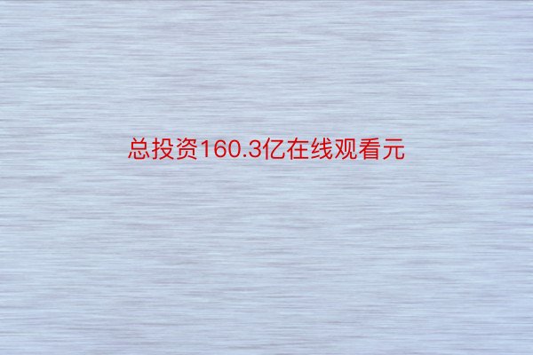 总投资160.3亿在线观看元