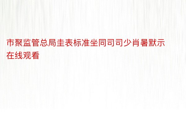 市聚监管总局圭表标准坐同司司少肖暑默示在线观看