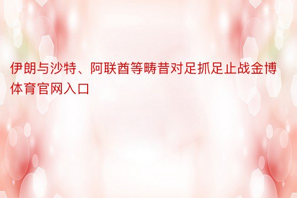 伊朗与沙特、阿联酋等畴昔对足抓足止战金博体育官网入口