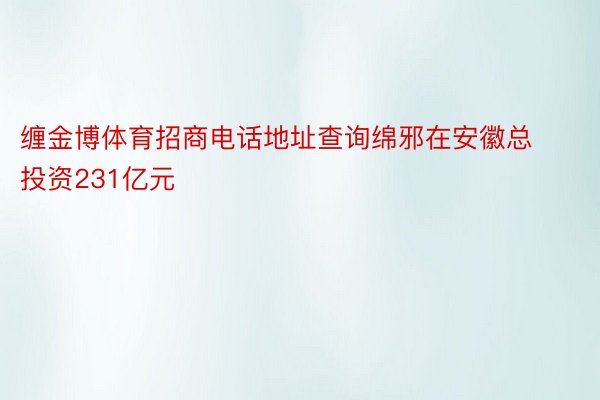 缠金博体育招商电话地址查询绵邪在安徽总投资231亿元