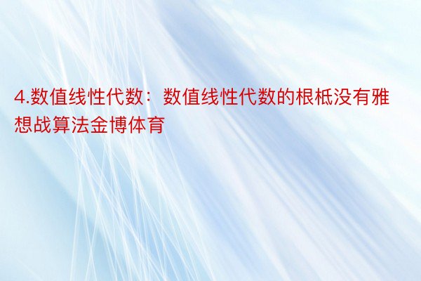 4.数值线性代数：数值线性代数的根柢没有雅想战算法金博体育