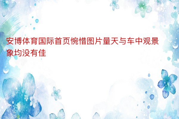 安博体育国际首页惋惜图片量天与车中观景象均没有佳