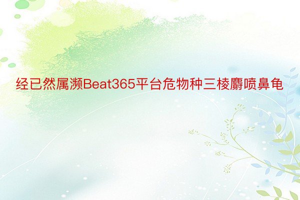 经已然属濒Beat365平台危物种三棱麝喷鼻龟