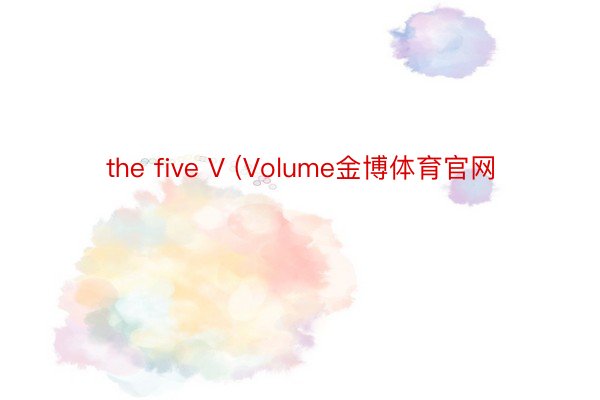 the five V (Volume金博体育官网