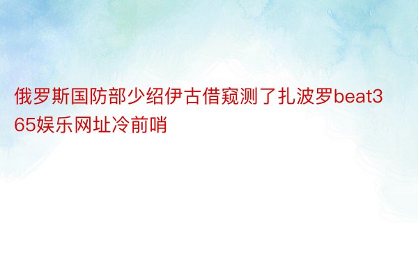 俄罗斯国防部少绍伊古借窥测了扎波罗beat365娱乐网址冷前哨