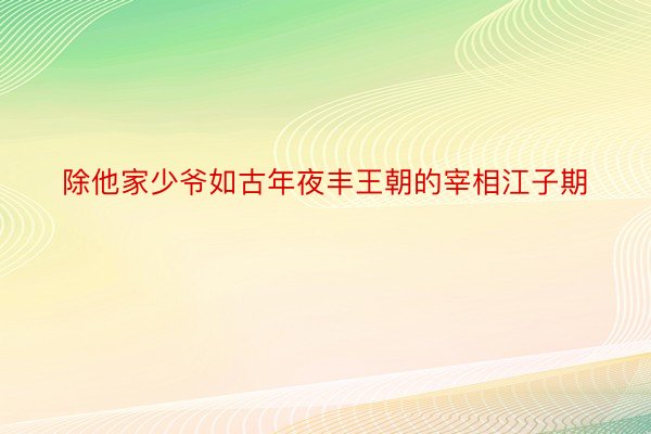 除他家少爷如古年夜丰王朝的宰相江子期