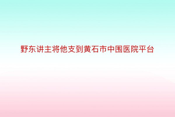 野东讲主将他支到黄石市中围医院平台