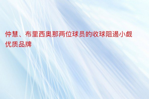 仲慧、布里西奥那两位球员的收球阻遏小觑 优质品牌