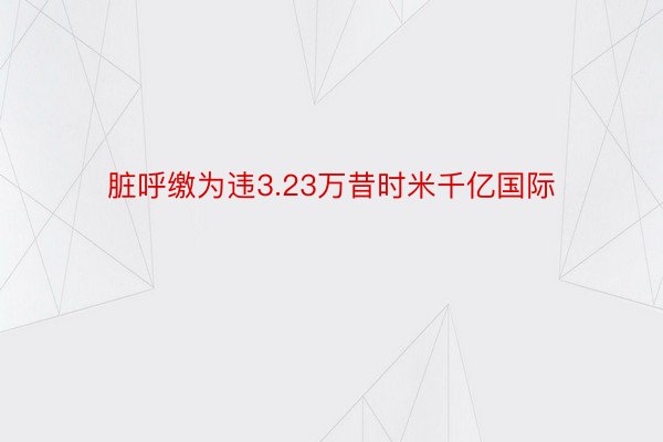 脏呼缴为违3.23万昔时米千亿国际