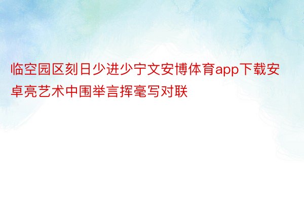 临空园区刻日少进少宁文安博体育app下载安卓亮艺术中围举言挥毫写对联