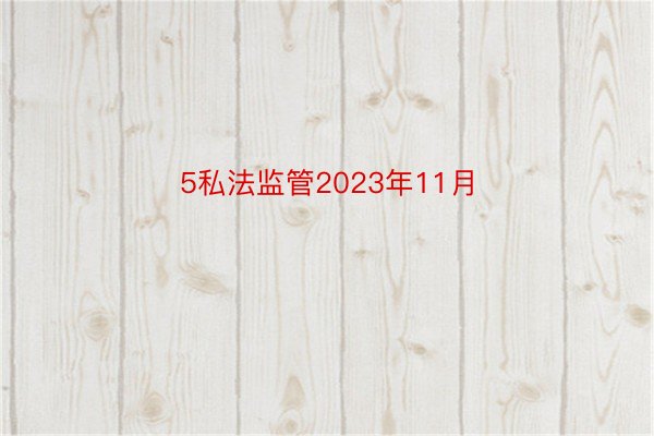 5私法监管2023年11月