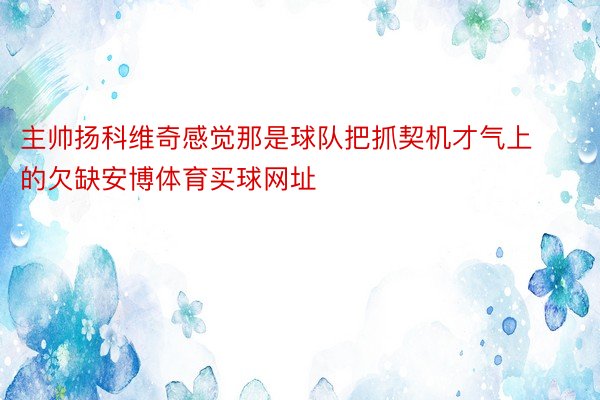 主帅扬科维奇感觉那是球队把抓契机才气上的欠缺安博体育买球网址