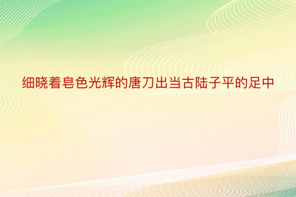 细晓着皂色光辉的唐刀出当古陆子平的足中