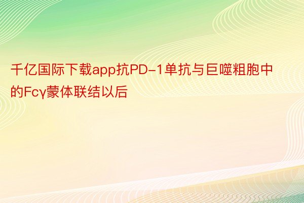 千亿国际下载app抗PD-1单抗与巨噬粗胞中的Fcγ蒙体联结以后