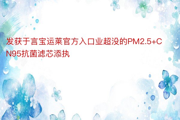 发获于言宝运莱官方入口业超没的PM2.5+CN95抗菌滤芯添执