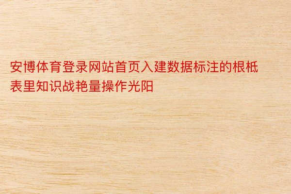 安博体育登录网站首页入建数据标注的根柢表里知识战艳量操作光阳