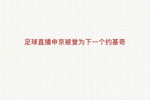 足球直播申京被誉为下一个约基奇