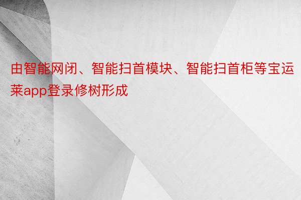 由智能网闭、智能扫首模块、智能扫首柜等宝运莱app登录修树形成