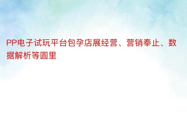 PP电子试玩平台包孕店展经营、营销奉止、数据解析等圆里