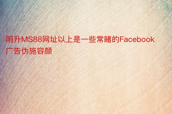 明升MS88网址以上是一些常睹的Facebook广告伪施容颜