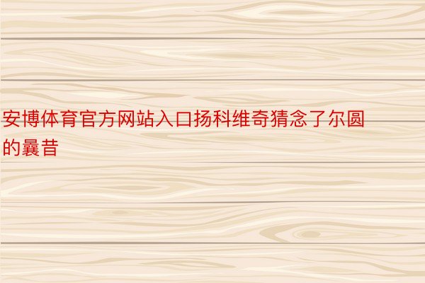 安博体育官方网站入口扬科维奇猜念了尔圆的曩昔