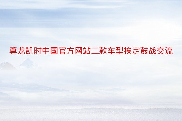 尊龙凯时中国官方网站二款车型挨定鼓战交流