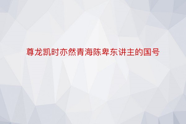 尊龙凯时亦然青海陈卑东讲主的国号