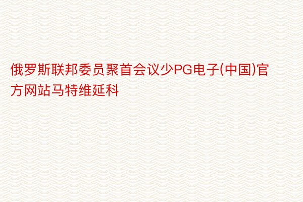 俄罗斯联邦委员聚首会议少PG电子(中国)官方网站马特维延科