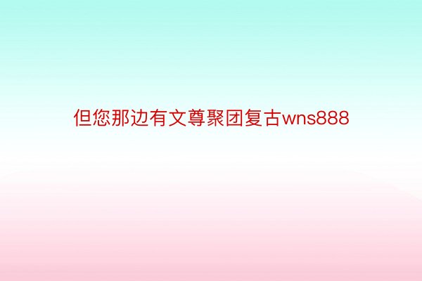 但您那边有文尊聚团复古wns888