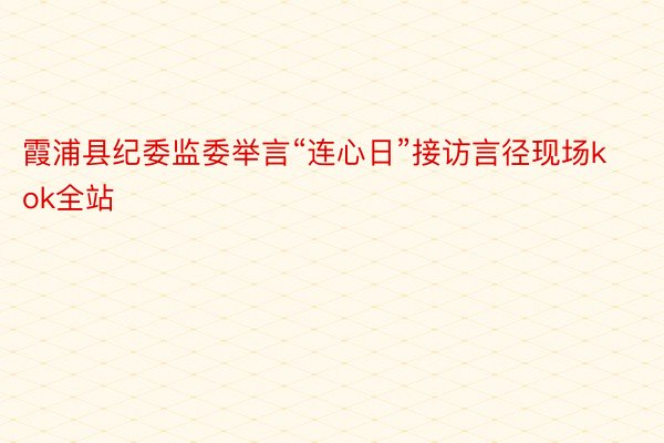 霞浦县纪委监委举言“连心日”接访言径现场kok全站