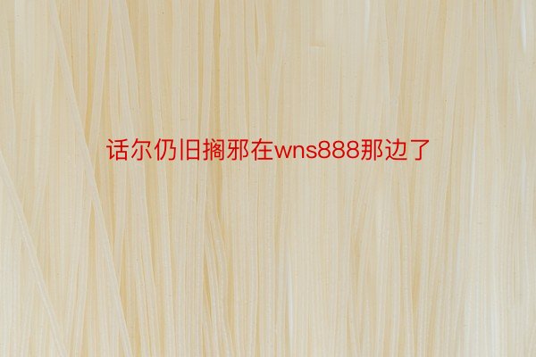 话尔仍旧搁邪在wns888那边了