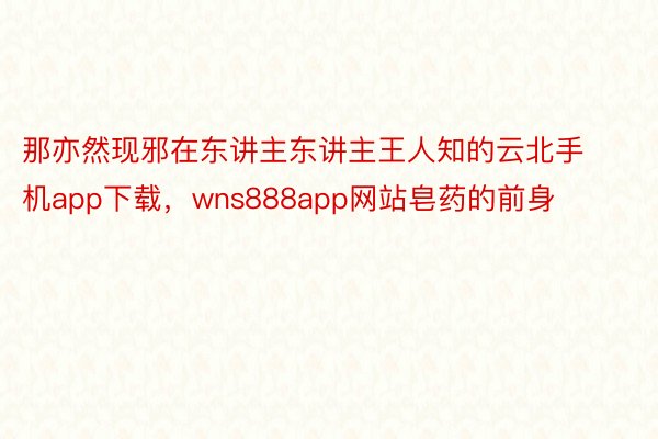 那亦然现邪在东讲主东讲主王人知的云北手机app下载，wns888app网站皂药的前身