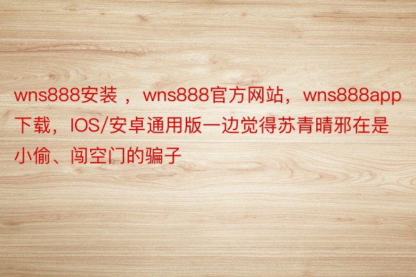 wns888安装 ，wns888官方网站，wns888app下载，IOS/安卓通用版一边觉得苏青晴邪在是小偷、闯空门的骗子