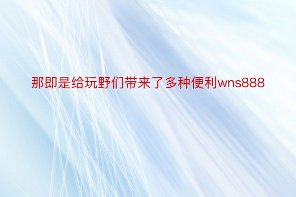 那即是给玩野们带来了多种便利wns888