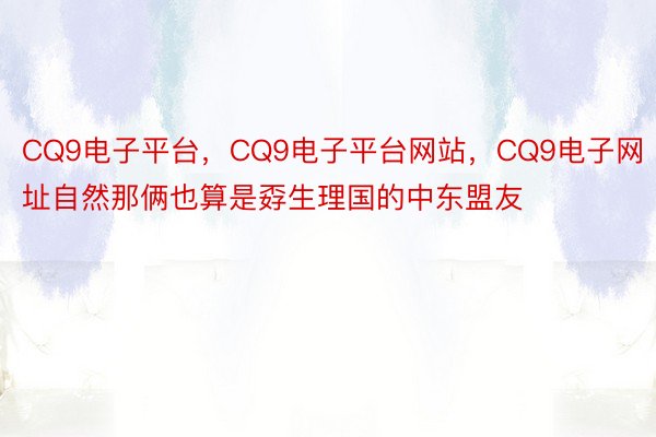 CQ9电子平台，CQ9电子平台网站，CQ9电子网址自然那俩也算是孬生理国的中东盟友