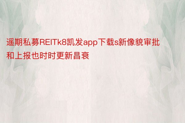 遥期私募REITk8凯发app下载s新像貌审批和上报也时时更新昌衰