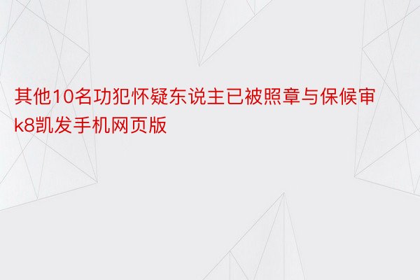 其他10名功犯怀疑东说主已被照章与保候审k8凯发手机网页版