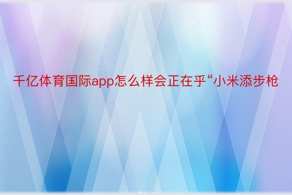 千亿体育国际app怎么样会正在乎“小米添步枪