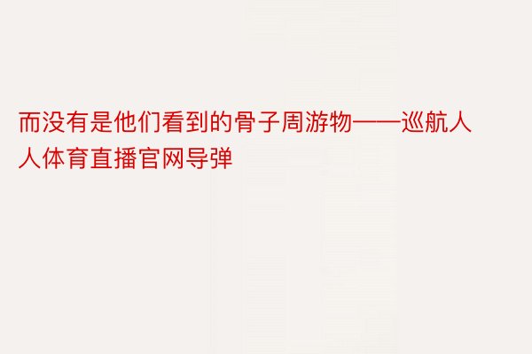 而没有是他们看到的骨子周游物——巡航人人体育直播官网导弹