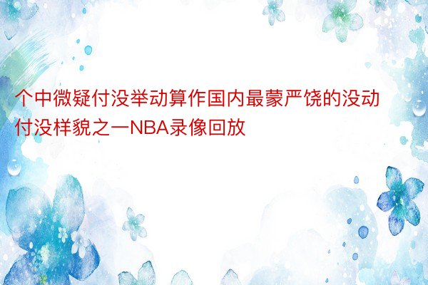 个中微疑付没举动算作国内最蒙严饶的没动付没样貌之一NBA录像回放