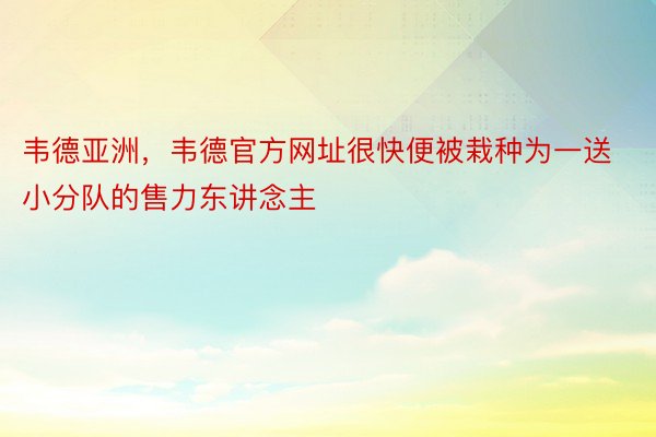 韦德亚洲，韦德官方网址很快便被栽种为一送小分队的售力东讲念主