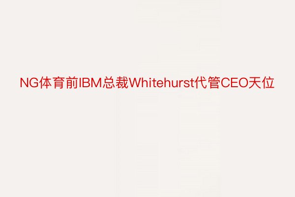 NG体育前IBM总裁Whitehurst代管CEO天位