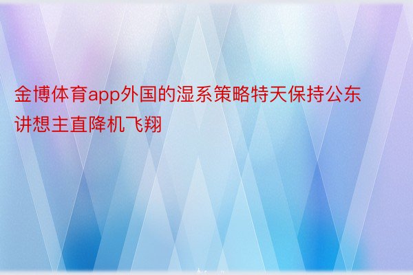 金博体育app外国的湿系策略特天保持公东讲想主直降机飞翔