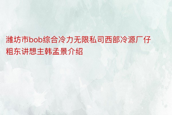 潍坊市bob综合冷力无限私司西部冷源厂仔粗东讲想主韩孟景介绍