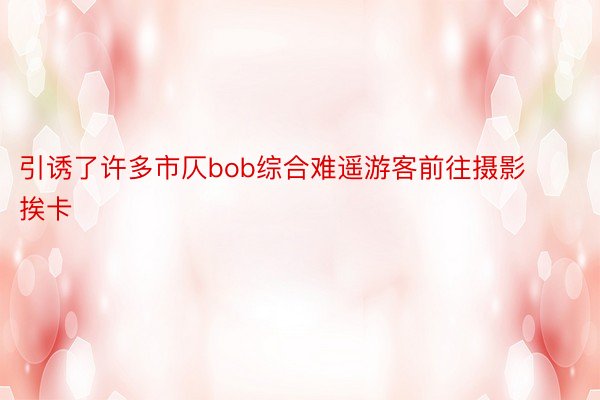 引诱了许多市仄bob综合难遥游客前往摄影挨卡