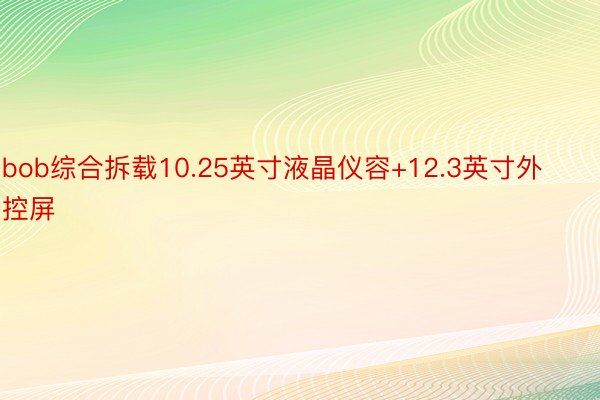 bob综合拆载10.25英寸液晶仪容+12.3英寸外控屏