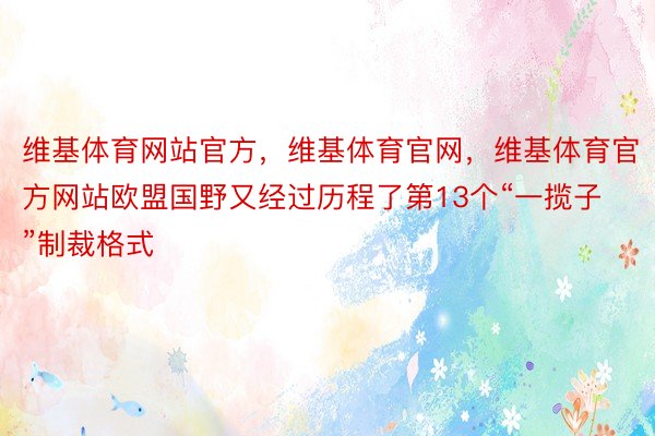 维基体育网站官方，维基体育官网，维基体育官方网站欧盟国野又经过历程了第13个“一揽子”制裁格式