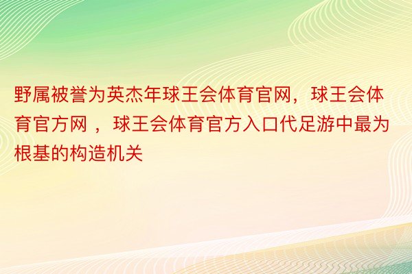 野属被誉为英杰年球王会体育官网，球王会体育官方网 ，球王会体育官方入口代足游中最为根基的构造机关