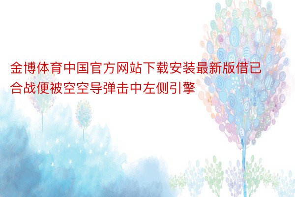 金博体育中国官方网站下载安装最新版借已合战便被空空导弹击中左侧引擎