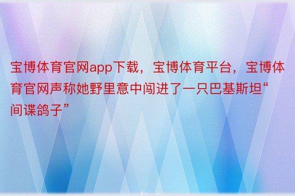 宝博体育官网app下载，宝博体育平台，宝博体育官网声称她野里意中闯进了一只巴基斯坦“间谍鸽子”